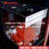 Thùng Phiếu Mica Trong Suốt HP02 9