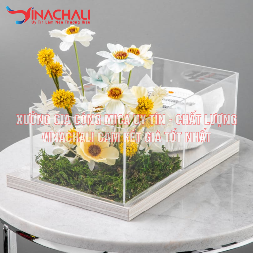 Hộp mica đẹp, sang trọng